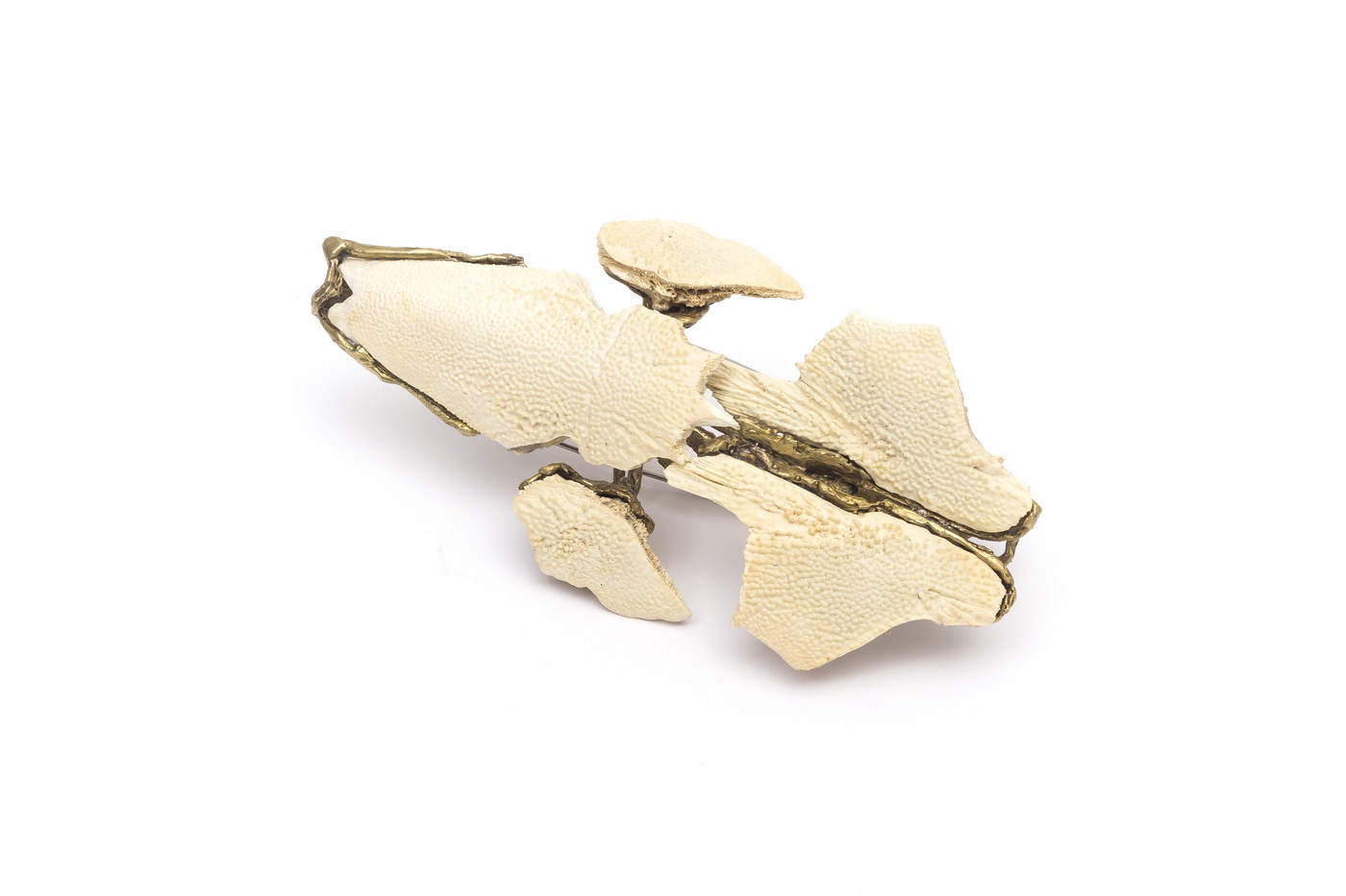 Hebe_Argentieri_Cyprinus_carpio_I1_2