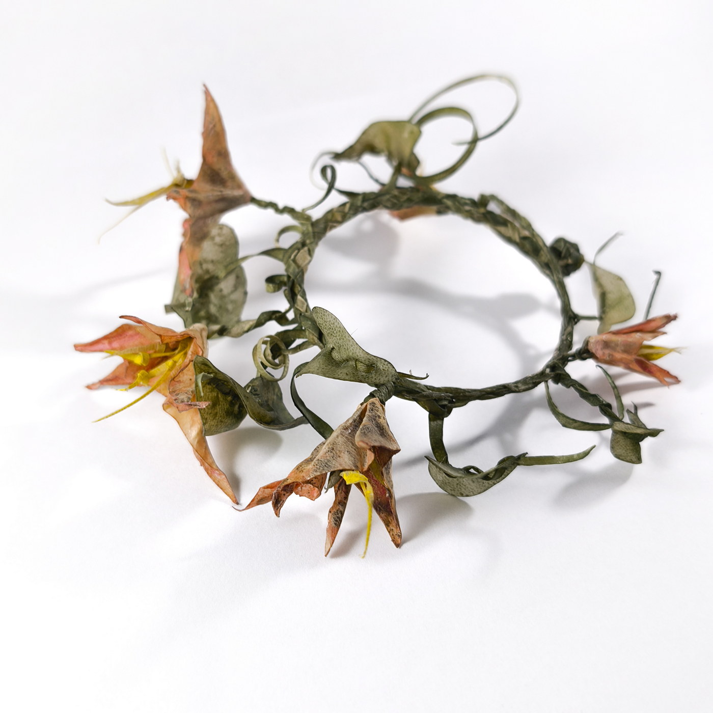 Lena_Echelle_Meadowlands2_2