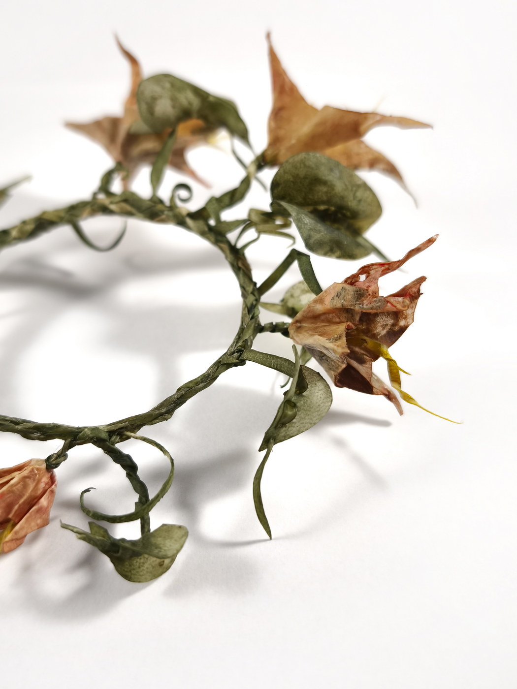 Lena_Echelle_Meadowlands3_2