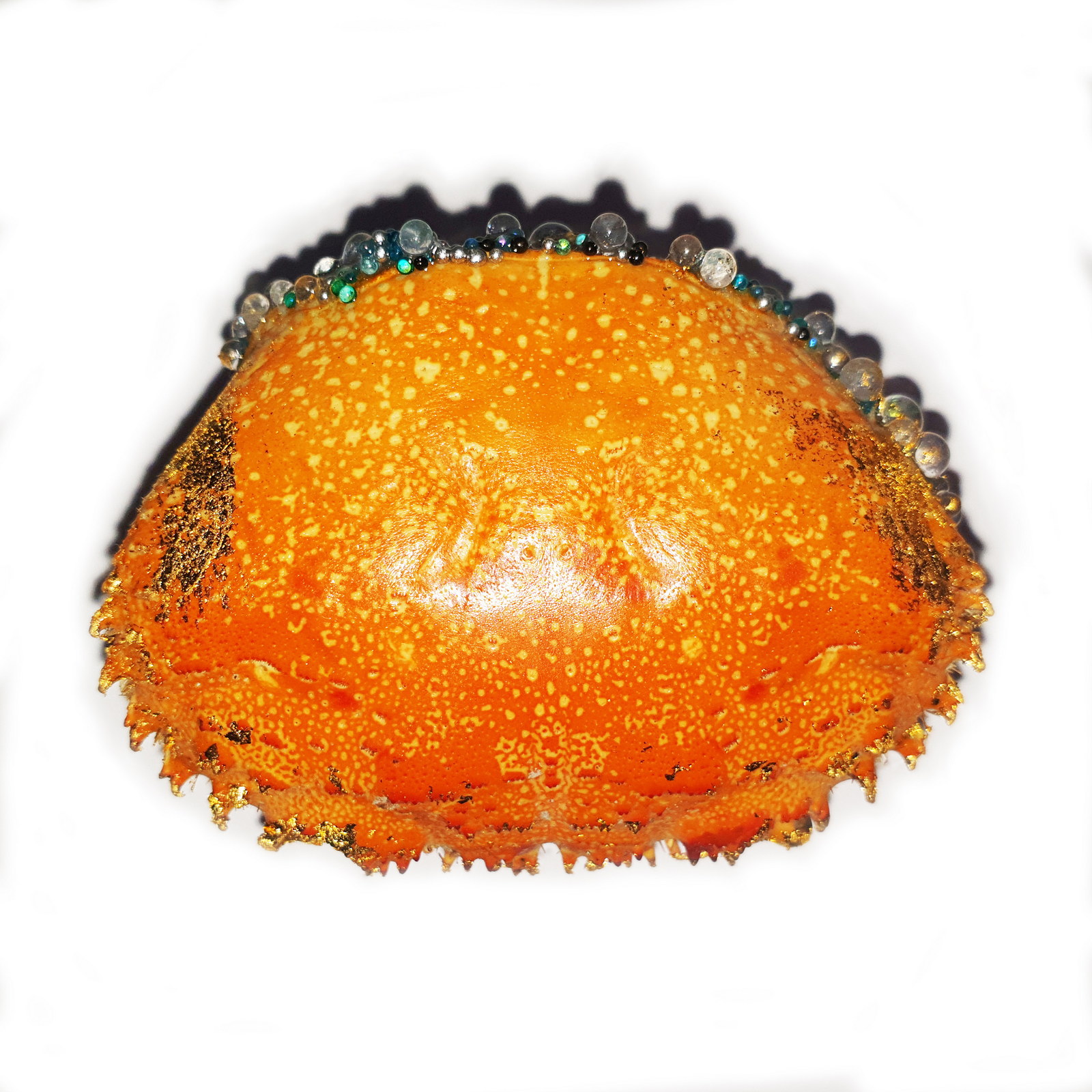 dodoparuznik-dontleavefront_brooch_2