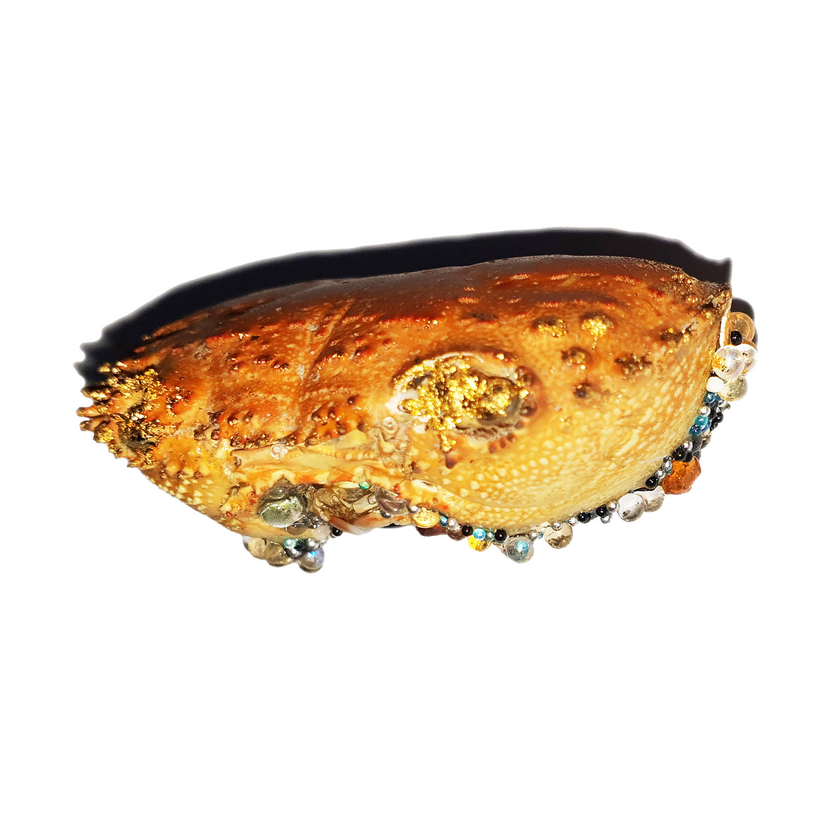 dodoparuznik-eatmeside_brooch_2